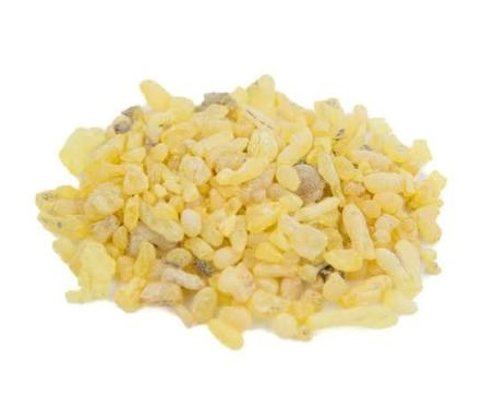 Sandarac Gum Incense Herb Resin Tetraclinis Articulata سندروس سندرك